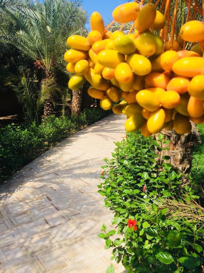 Riad Le Jasmin Hotel Taroudant Exterior photo