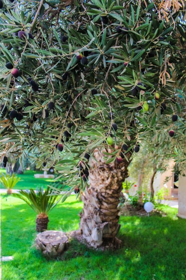 Riad Le Jasmin Hotel Taroudant Exterior photo