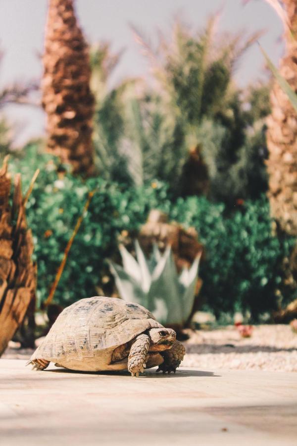 Riad Le Jasmin Hotel Taroudant Exterior photo