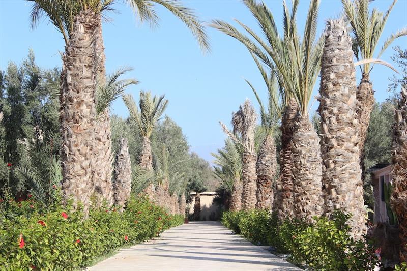 Riad Le Jasmin Hotel Taroudant Exterior photo